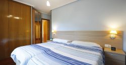 IRUN-URDANIBIA-BERRI